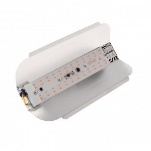 Фитопрожектор светодиодный  СДО09-50, 50 Вт, IP65, 220 В, мультиспектр., бескорпусный