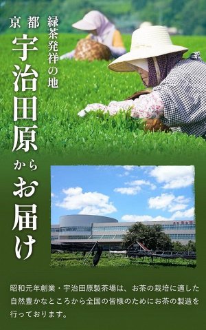 Kyoto Ujitawara Matcha Kyo no Hana - премиальный чай матча из Киото