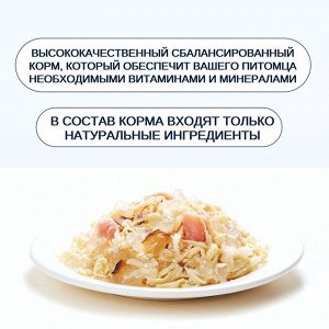 Wanpy Cat Консервы для кошек «Курица с лососем» 95 г