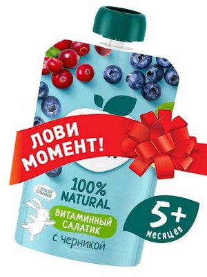 ФРУТОНЯНЯ Пюре 90г витаминный салатик с черникой