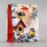 ❄ ︎Пакеты ламинированные S (~ 12см х 16см)