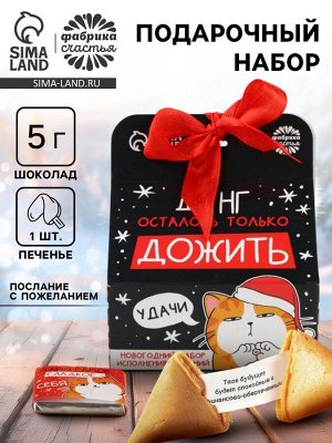 Подарочный набор «Котэ», печенье с предсказанием, шоколад и бумажка для исполнения желаний