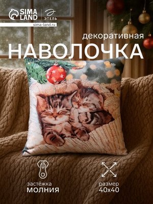 Наволочка декоративная новогодняя «Этель. Котята» 40x40 см, велюр