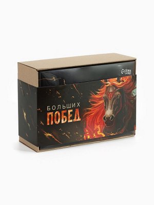 Подарочный набор новогодний «Больших побед», плед, перчатки и аксессуары
