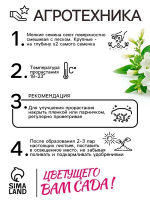 Семена цветов Лобелия ампельная «Белый каскад», 5 шт., «Рецепты дедеушки Никиты»