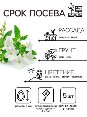 Семена цветов Лобелия ампельная «Белый каскад», 5 шт., «Рецепты дедеушки Никиты»