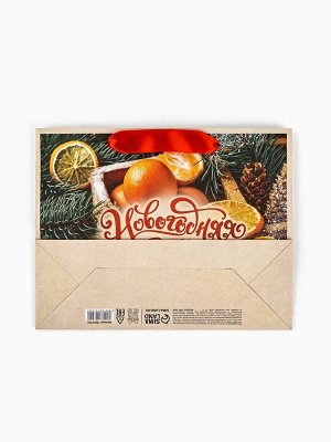 Пакет подарочный новогодний бумажный, «Новогодняя сказка», 24x20x11 см