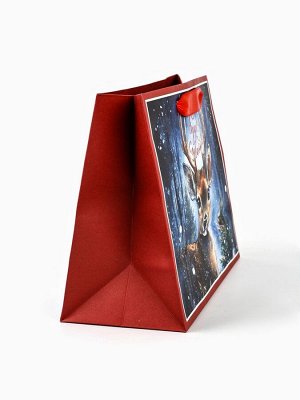 Пакет подарочный новогодний бумажный, «Чудеса случаются», 24x20x11 см