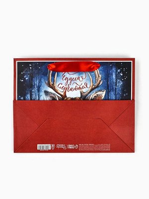 Пакет подарочный новогодний бумажный, «Чудеса случаются», 24x20x11 см