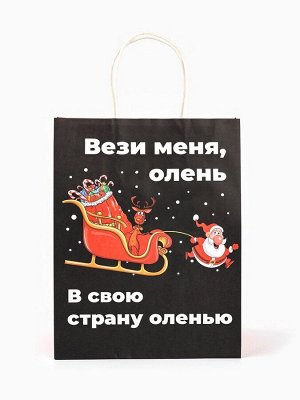 Пакет бумажный подарочный новогодний крафт, «Вези меня», 27x21x11 см