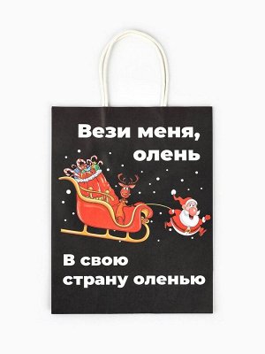 Пакет бумажный подарочный новогодний крафт, «Вези меня», 27x21x11 см