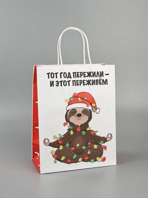 Пакет бумажный подарочный новогодний крафт, «Тот год пережили и этот переживем», 27x21x11 см