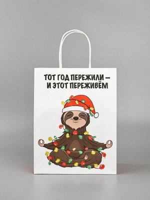 Пакет бумажный подарочный новогодний крафт, «Тот год пережили и этот переживем», 27x21x11 см