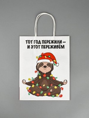 Пакет бумажный подарочный новогодний крафт, «Тот год пережили и этот переживем», 27x21x11 см