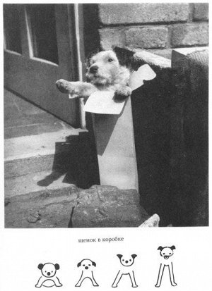 Чапек, Карел Дашенька, или история щенячьей жизни (2-е издание)