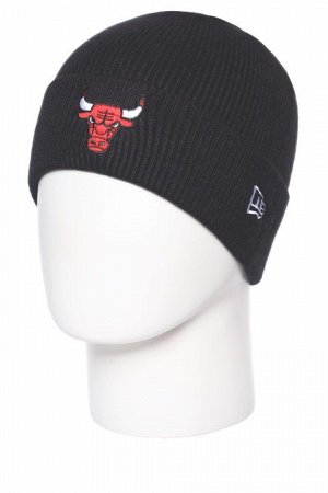 Шапка мужская W-98 (W-99H) CHB