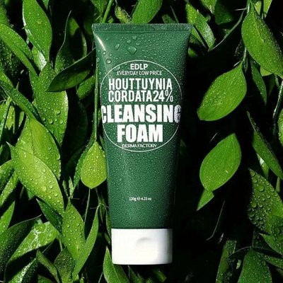 Derma Factory Пенка для умывания