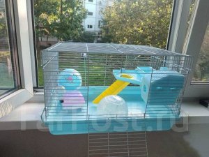 Клетка для ГРЫЗУНОВ