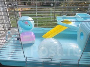 Клетка для ГРЫЗУНОВ