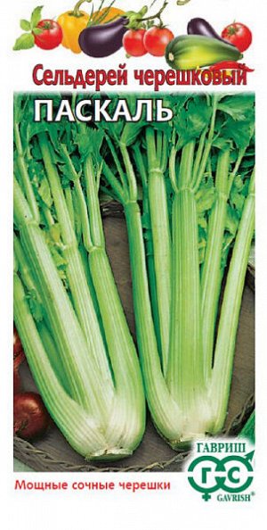 Сельдерей черешковый Паскаль