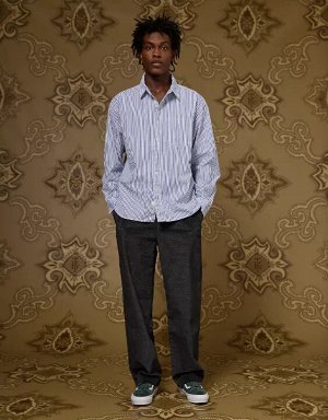 AE x Tru Kolors Poplin Striped Shirt