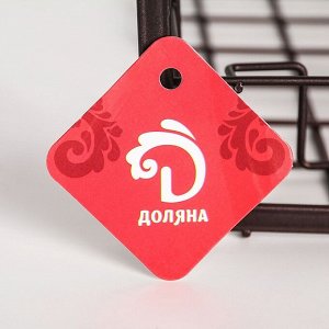 Корзина подвесная Доляна «Лофт», 25x20,5x21 см, цвет чёрный