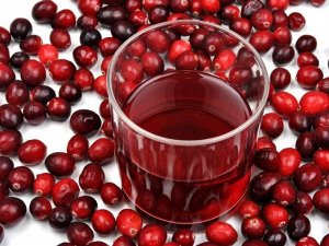 Сироп Брусника