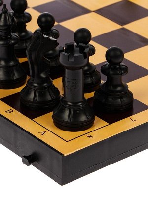 Настольные игры 2 в 1 «Семейная»: шахматы, шашки, доска пластик 30x30 см