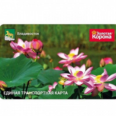 Транспортные Карты Владивосток