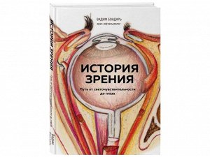 История зрения. Путь от светочувствительности до глаза