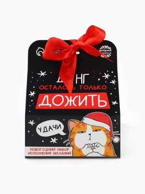 Подарочный набор «Котэ», печенье с предсказанием, шоколад и бумажка для исполнения желаний