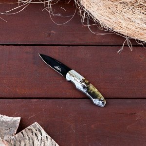 Нож перочинный Мастер К складной "Медведь на охоте", лезвие 6,5 см
