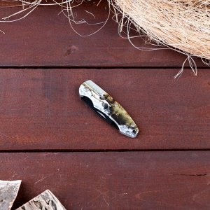 Нож перочинный "Медведь на охоте", складной лезвие 6,5 см