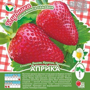 Клубника Априка А 10шт/пучок (Сиб сад