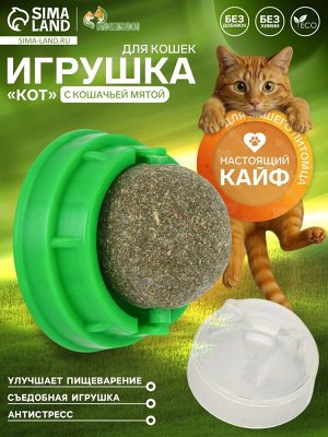 Игрушка для кошек из кошачьей мяты «Кот» на основании, 4.5x4.8x4.8 см, зелёный