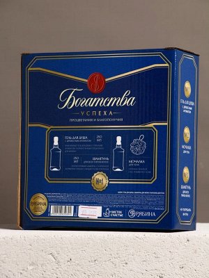 Подарочный набор «Богатства»: гель для душа, шампунь для волос, мочалка для тела, Чистое счастье