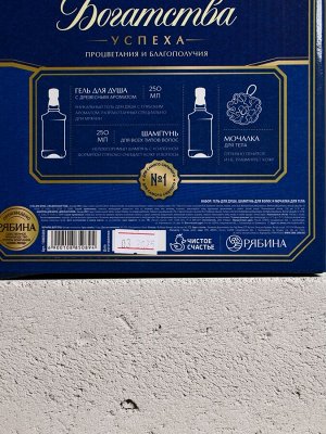 Подарочный набор «Богатства»: гель для душа, шампунь для волос, мочалка для тела, Чистое счастье