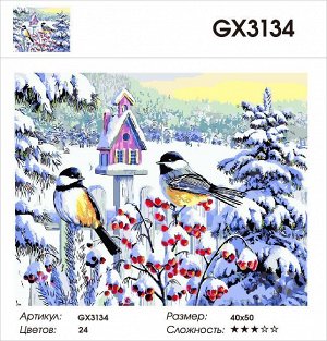 Картина по номерам на подрамнике GX3134