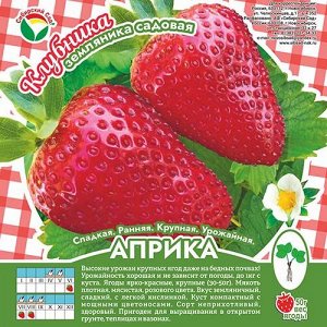 Клубника Априка А 10шт/пучок (Сиб сад)