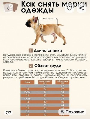 Толстовка "Formydogs", размер 12