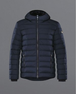 Зимняя куртка Year of the Tiger  мужская цвет сине-черный модель 96240