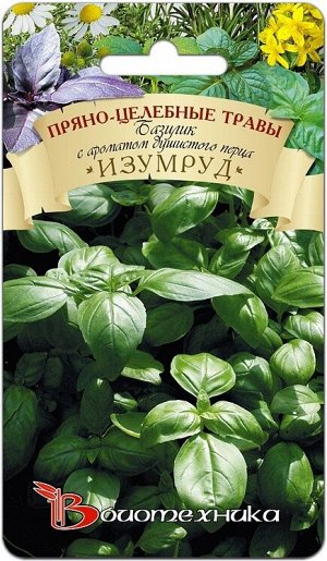 Базилик Изумруд (с ароматом душистого перца)