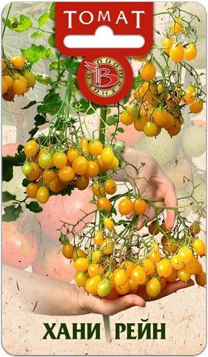 Томат Хани Рейн 15 шт.Уникальный томат, формирующий огромные плодовые кисти в виде густой метелки