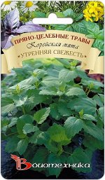 Корейская мята Утренняя Свежесть
