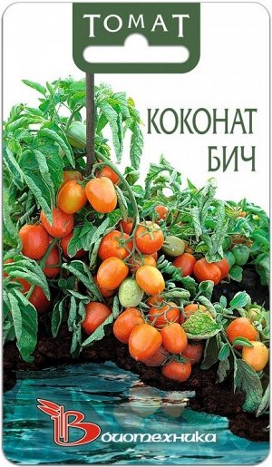Томат Коконат Бич 15 шт.Красивые, яркие, овальные томаты