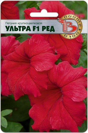 Петуния крупноцветковая Ультра F1 Ред 15 шт.Исключительная компактность растения.