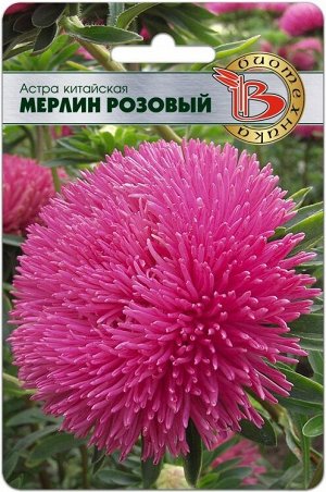 Астра китайская Мерлин Розовый 50шт Биотехника