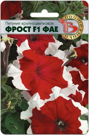 Петуния крупноцветковая Фрост F1 Фае 15 шт.Сочные, яркие цвета с чистой снежнобелой полосой по краю венчика.