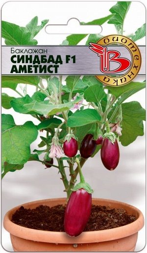 Баклажан Синдбад F1 Аметист
