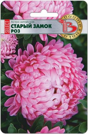 Астра китайская Старый Замок Selest Роз 30шт Биотехника
